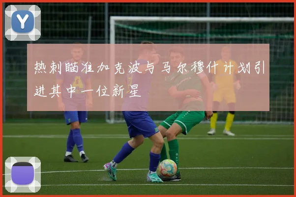 热刺瞄准加克波与马尔穆什计划引进其中一位新星
