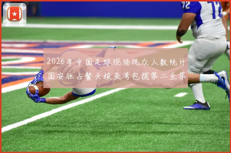 2026年中国足球现场观众人数统计国安独占鳌头梭鱼湾包揽第二至第七位